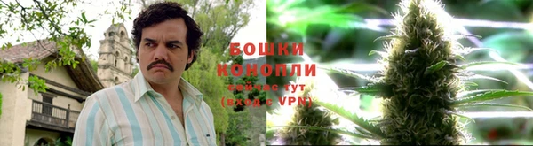 тгк Мегион
