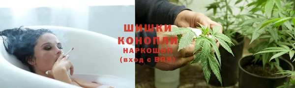 каннабис Майский