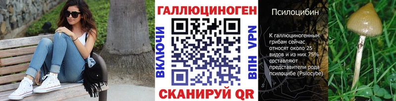 Псилоцибиновые грибы Cubensis  площадка состав  Чухлома  хочу  